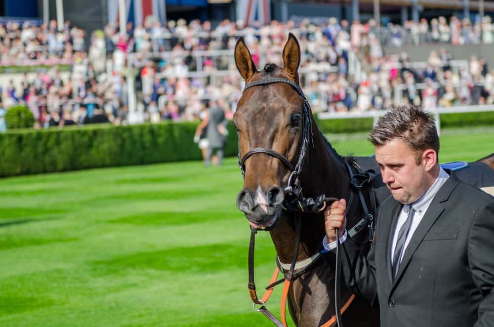 Royal Ascot 2015