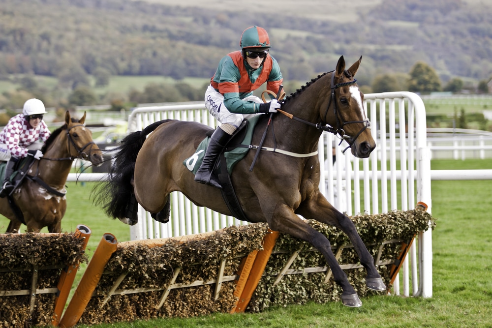 Cheltenham Festival